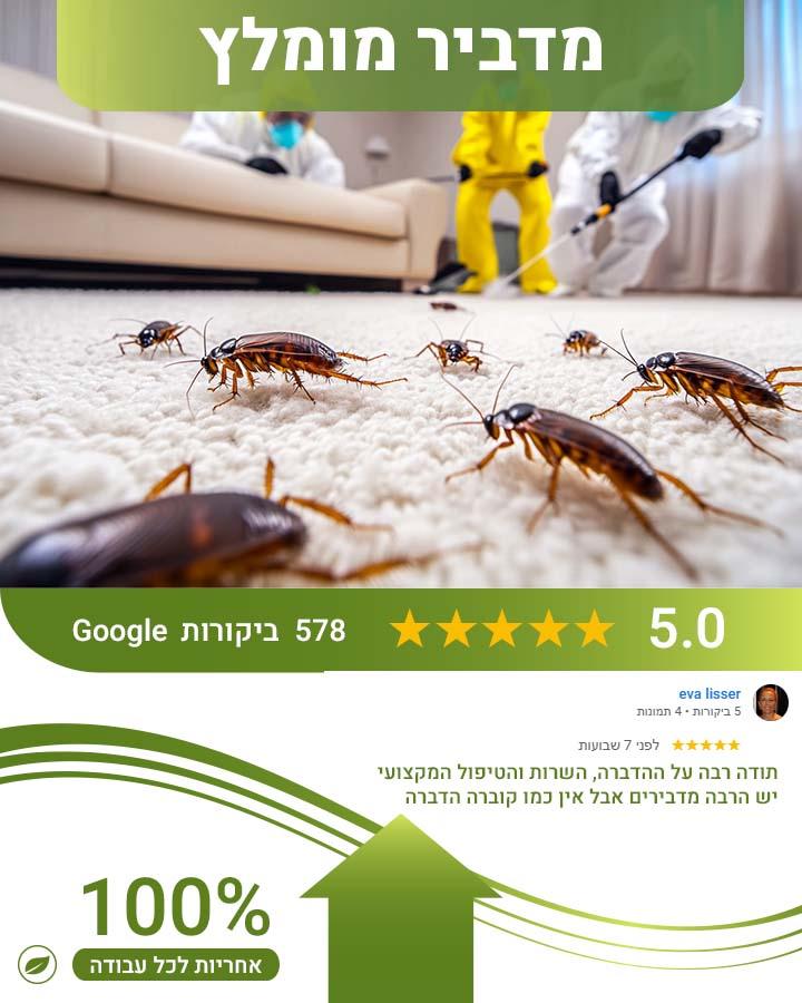 מזיקים נפוצים