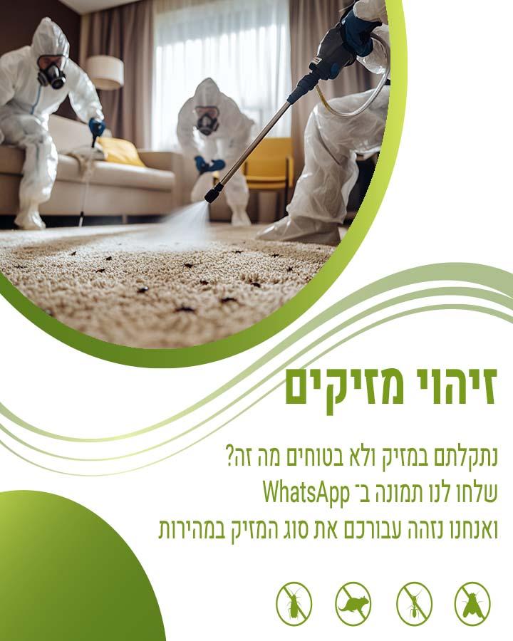 מחירון הדברה