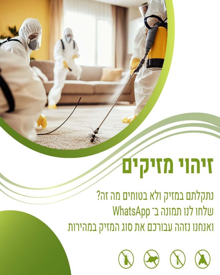 נזקי טרמיטים