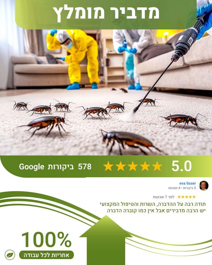 נזקי טרמיטים