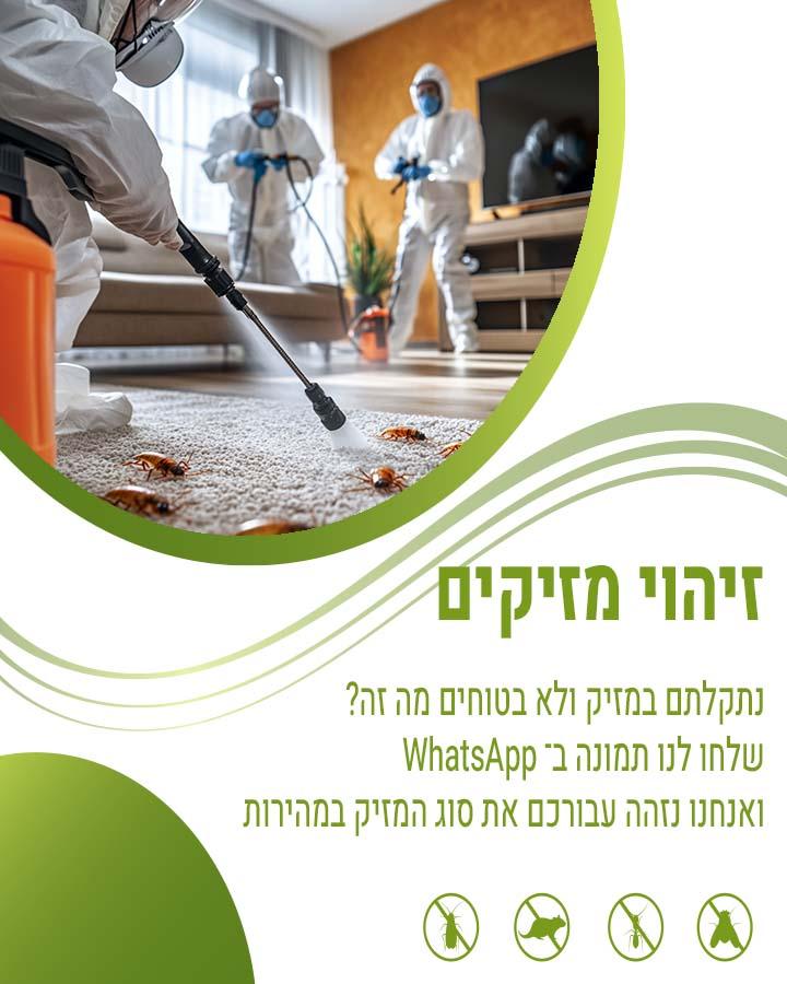 נמלי אש עקיצות