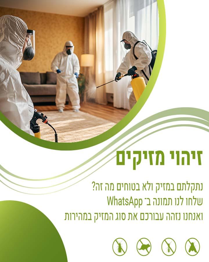 נמלים