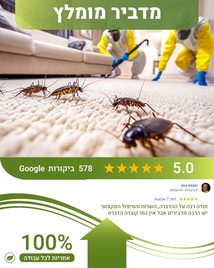 נמלים באמבטיה