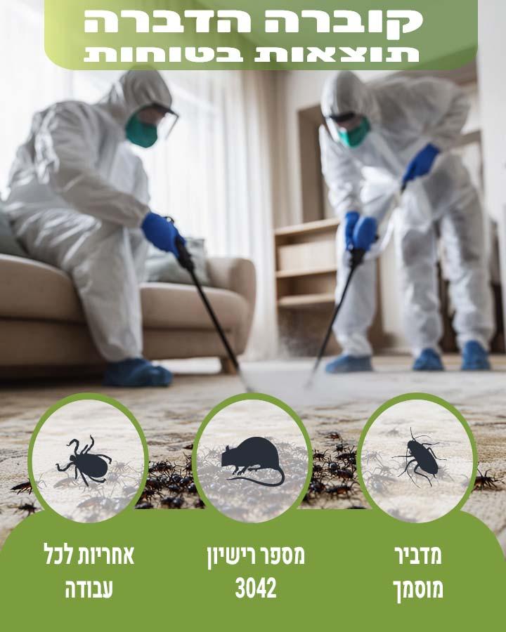 נמלים באמבטיה