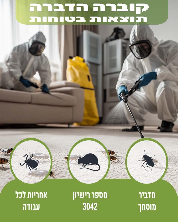 נמלים בבית