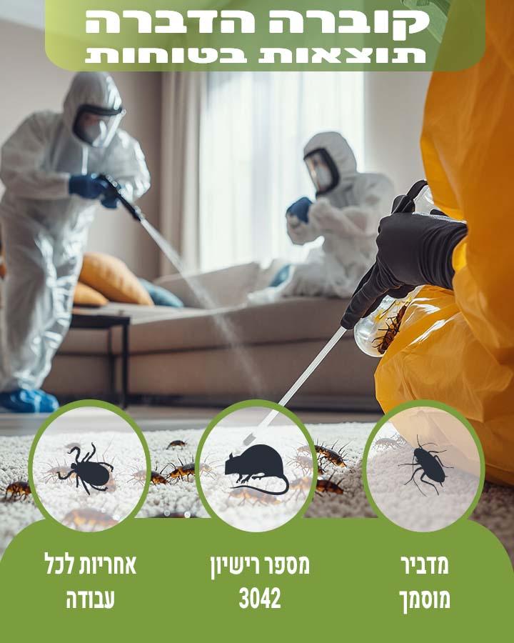 נמלים בחדר שינה