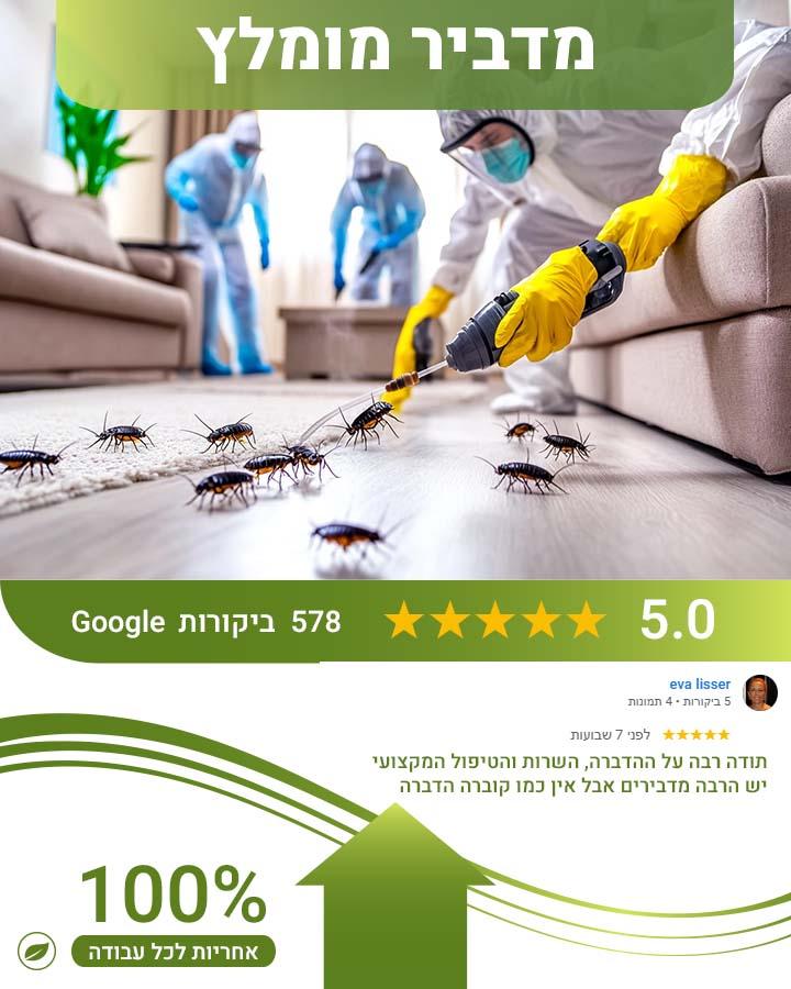 נמלים במטבח
