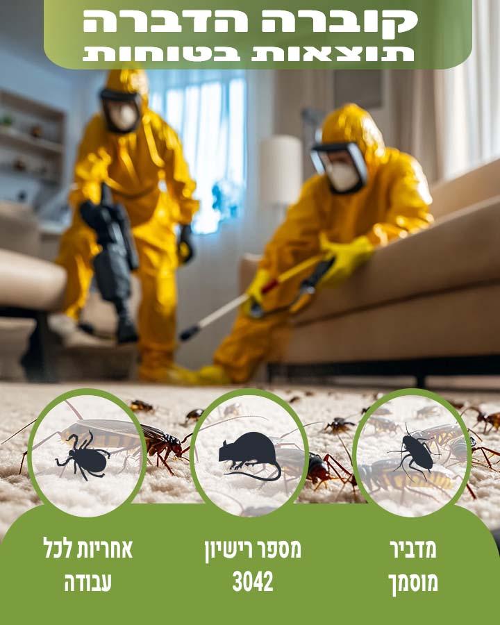 נמלים במטבח