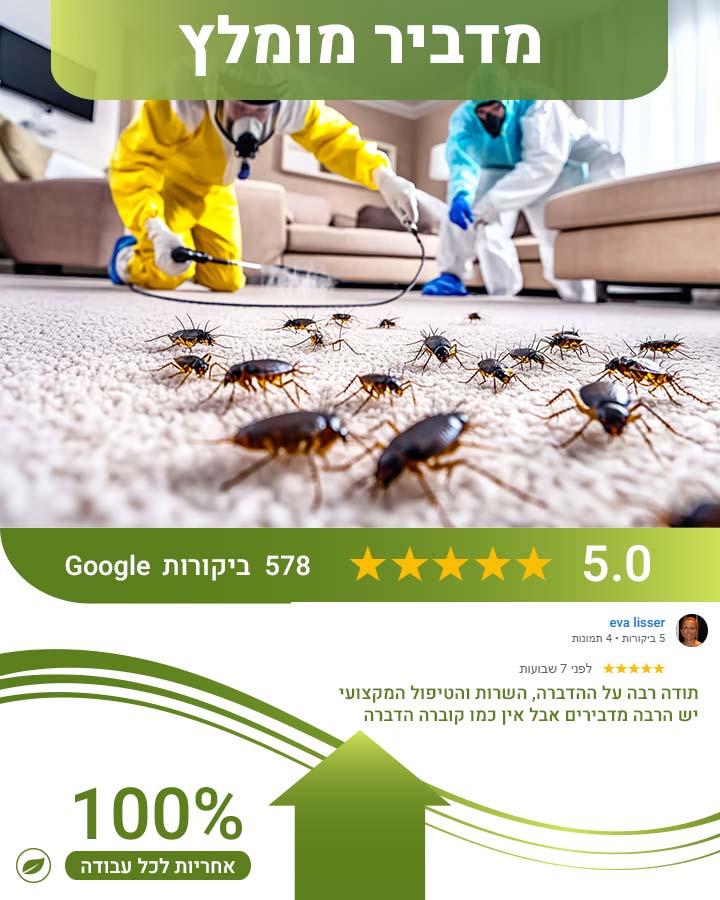 סוגי ג'וקים