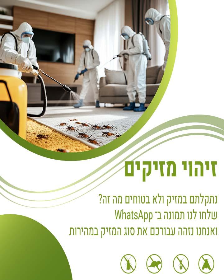 סוגי זבובים עוקצים