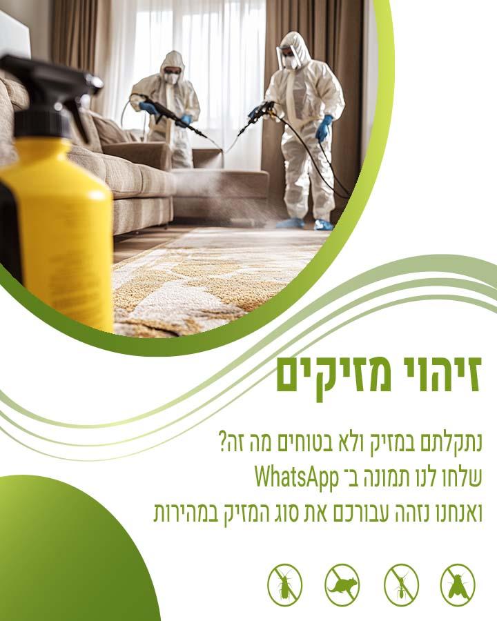 סוגי נמלים