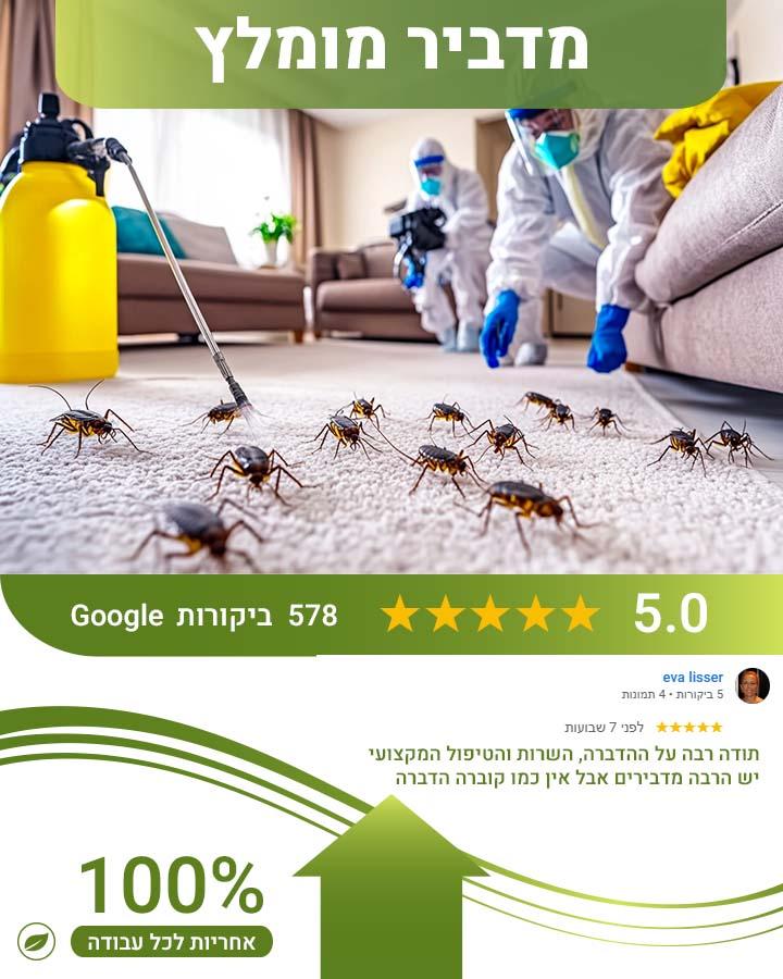 עכבישים