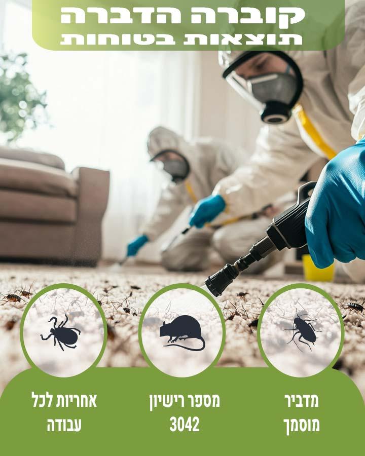 עכבישים