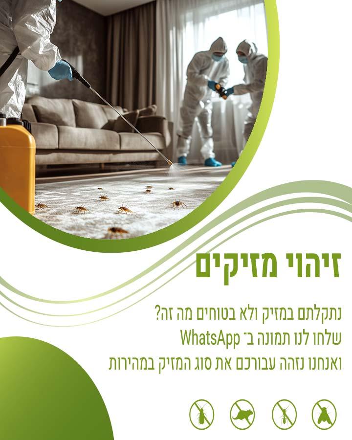 עכבר במזגן