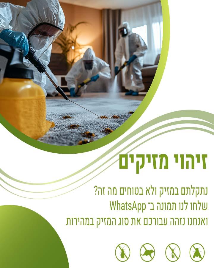עכבר לא נתפס במלכודת