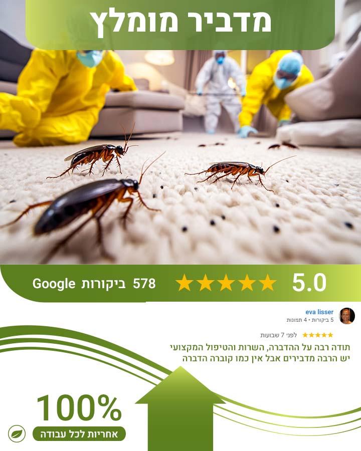 עקיצות פשפשים