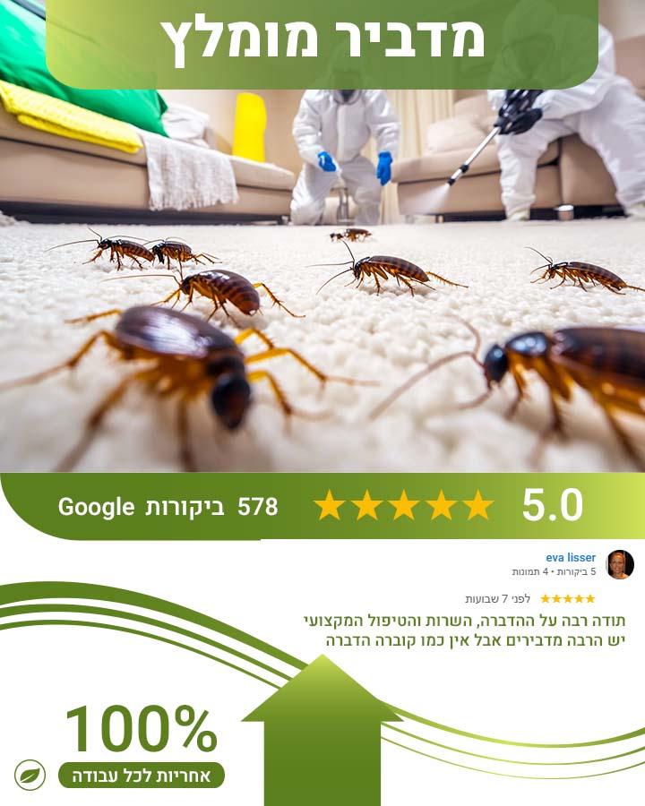 עקרב בבית