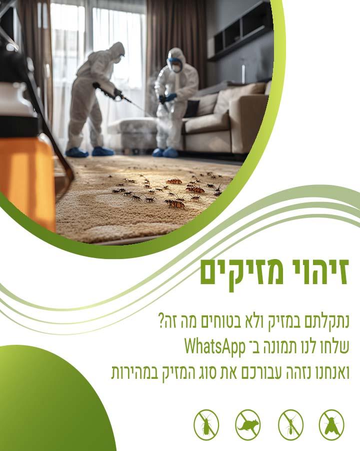 עש הבגדים
