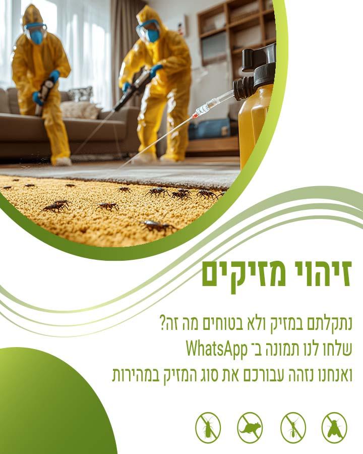 עש המזון