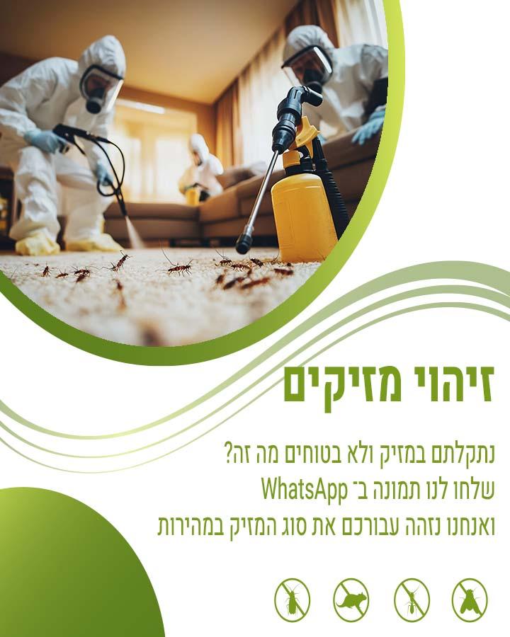 פאת אוזניים