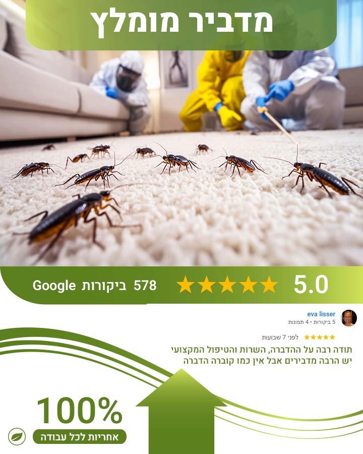 פינוי פגרים בתל אביב