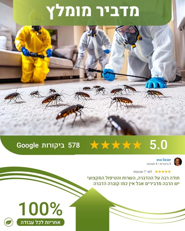 פרעושים בבית