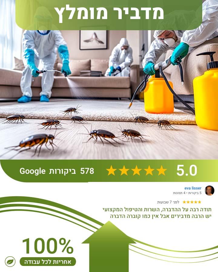 פשפש המיטה
