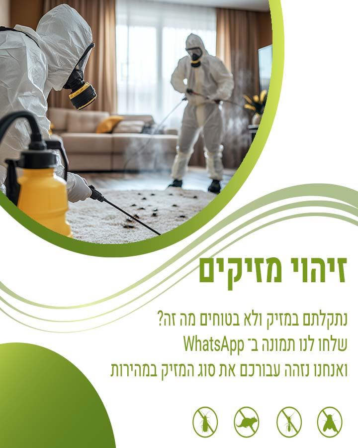 פשפשים בבגדים