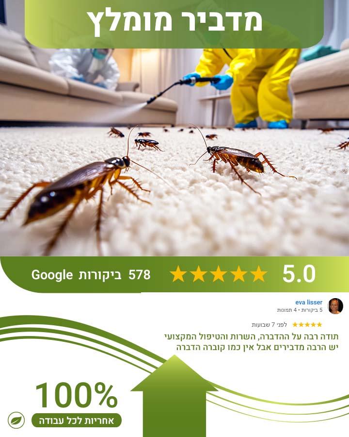 פשפשים בבית