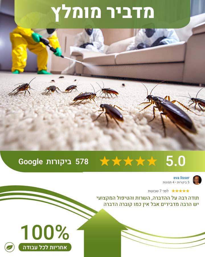 פשפשים במזרון
