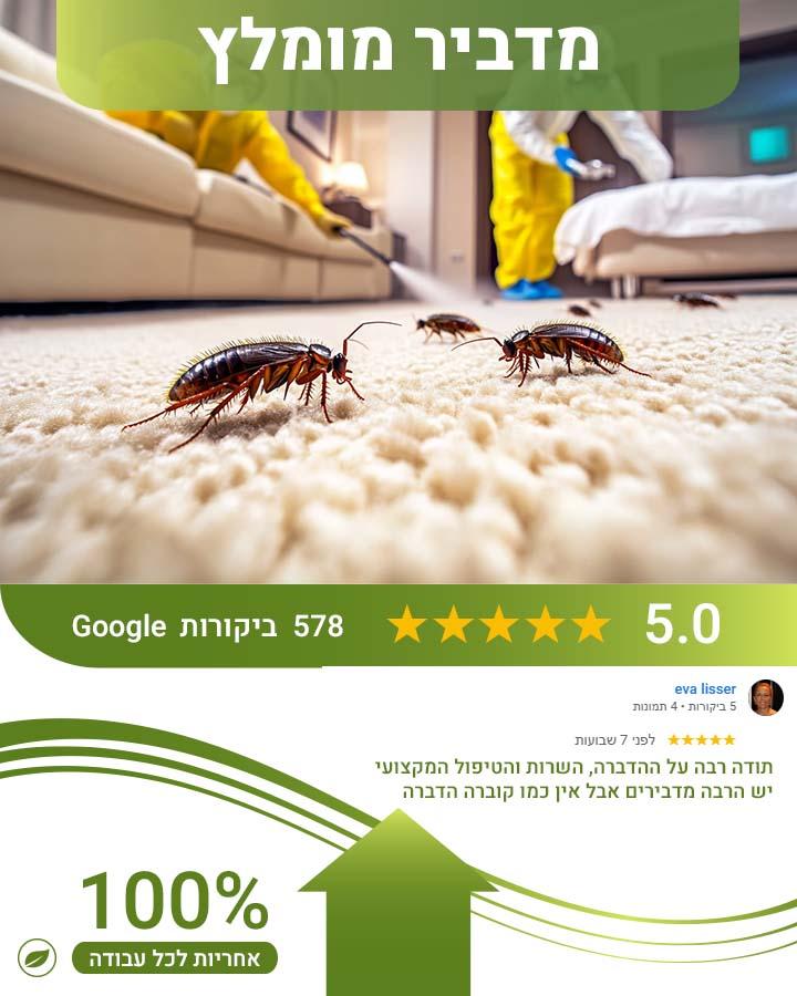 פשפשים בספה