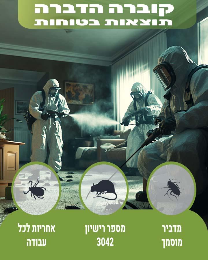 פשפשים בספה