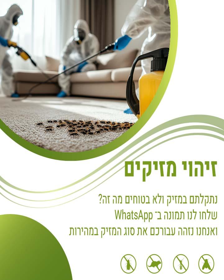 פתרון ליתושים