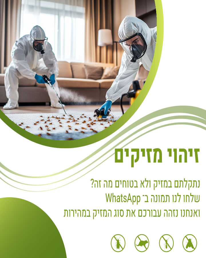 קוברה הדברה זיהוי מזיקים