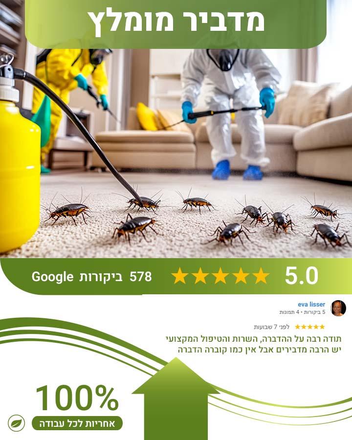 קן נמלים