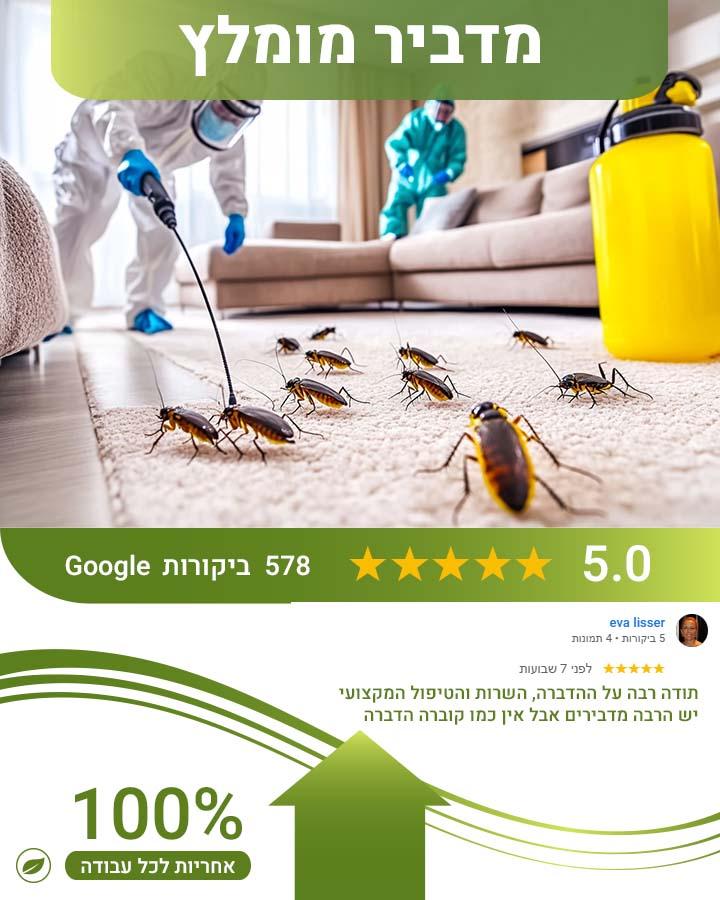 קן צרעות בקיר