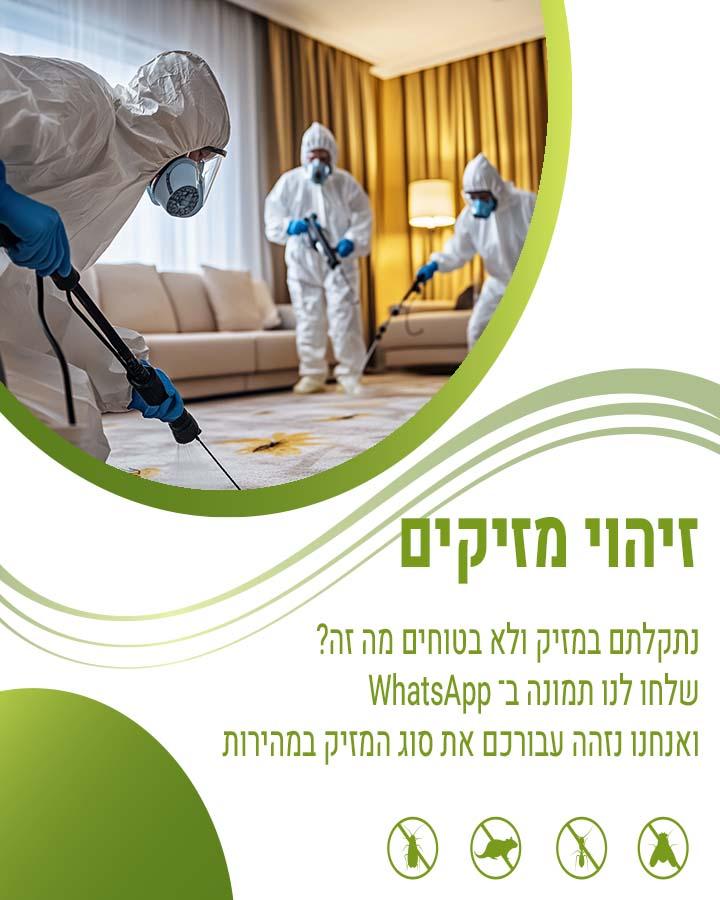 קן צרעות מבוץ