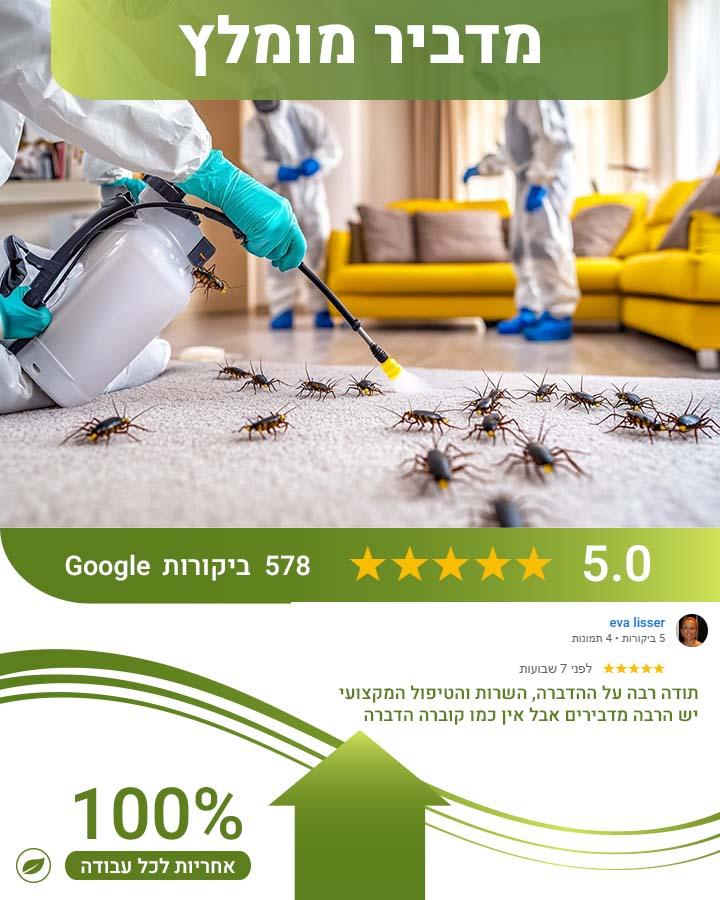 קן צרעות קטן