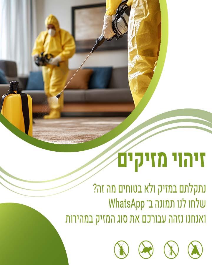 קקי של ג'וקים