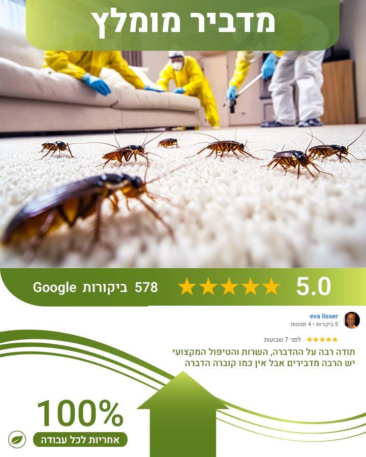 קקי של ג'וקים
