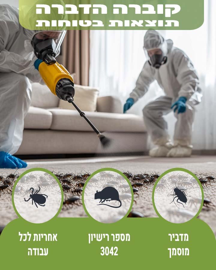 קקי של ג'וקים