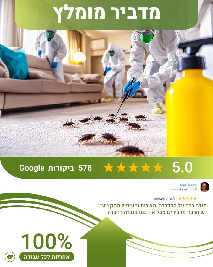 קקי של עכבר או חולדה