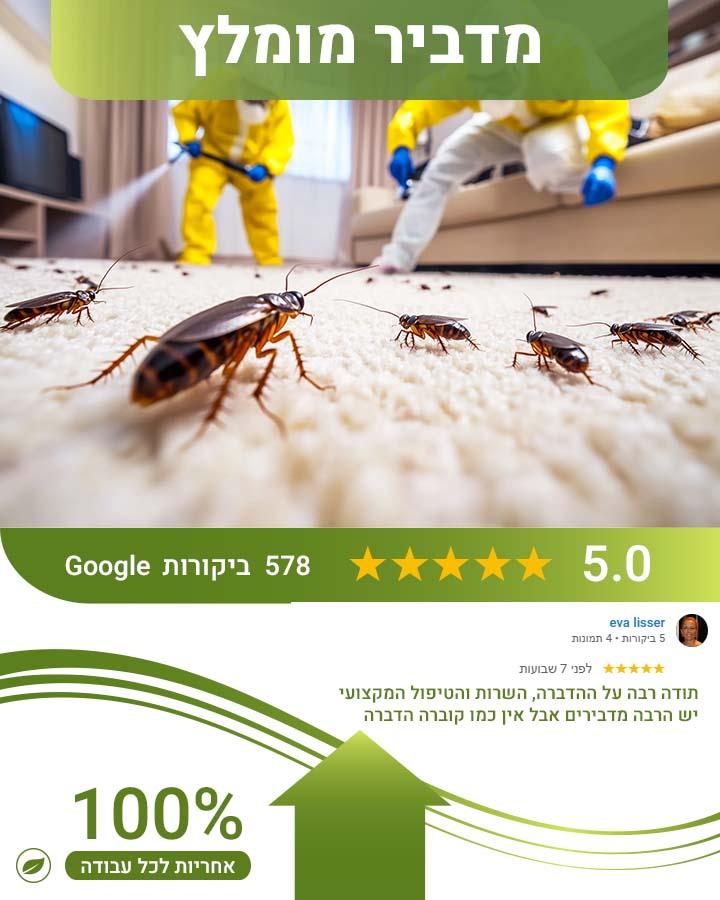 קרדית