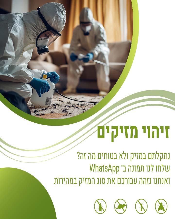 קשקשים