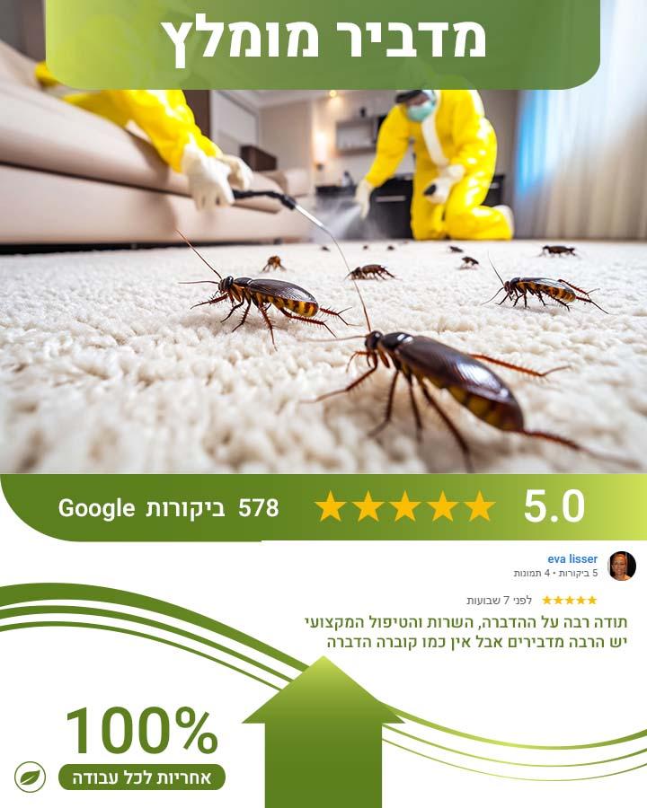 קשקשים