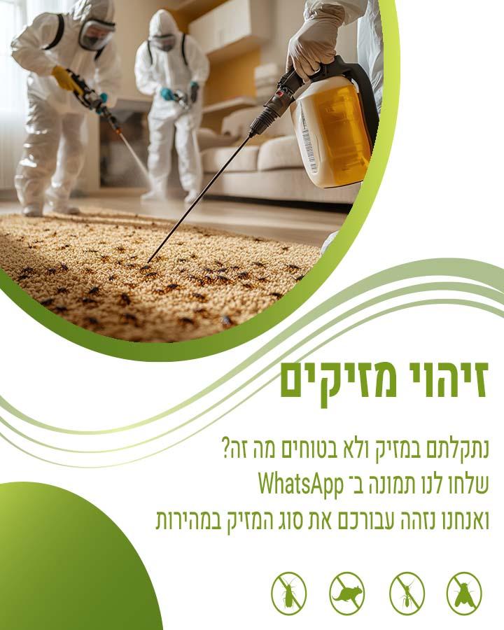 רבי רגליים