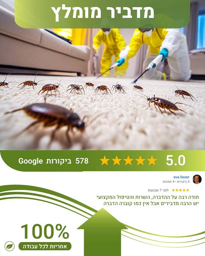 רבי רגליים