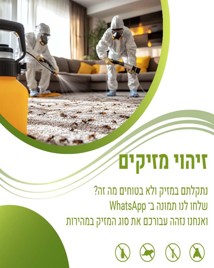 ריסוס ירוק
