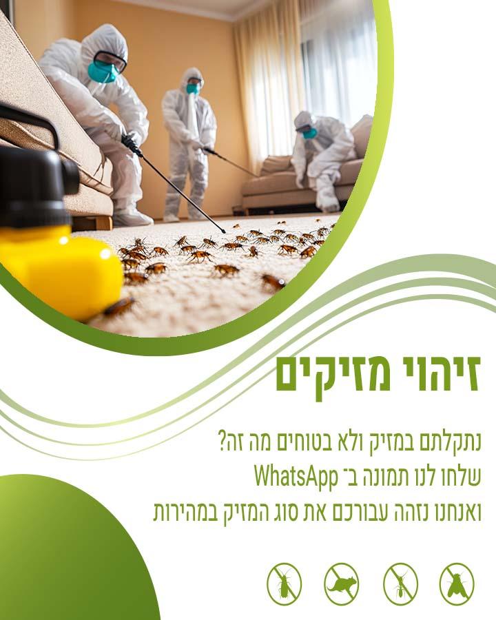 ריסוס לבית