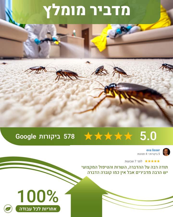ריסוס לבית